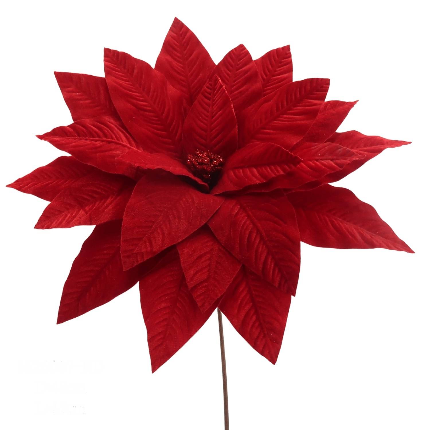 140_WR-RED-08-2.jpg WR-RED- 08 – תמונה 1