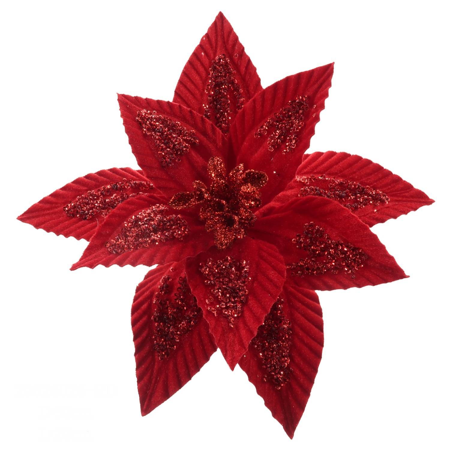 155_WR-RED-09-2.jpg WR-RED-09 – תמונה 1