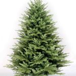 VICTORIA TREE 180CM