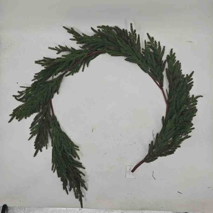 312_GARLAND20-PE-01-2.jpg GARLAND -PE-01 – תמונה 1