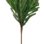 ROYAL FIR F-PE06