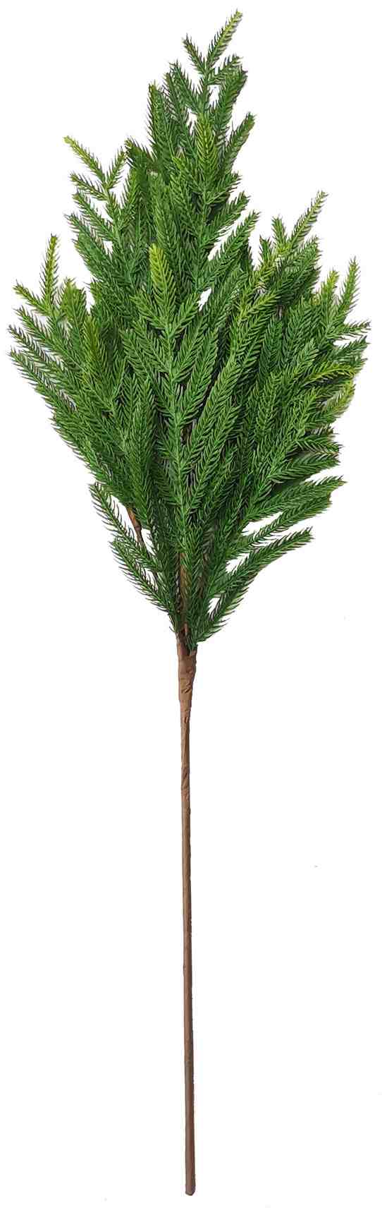 314_F-PE-06-2.jpg ROYAL FIR F-PE06 – תמונה 1