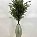 ROYAL FIR F-PE07