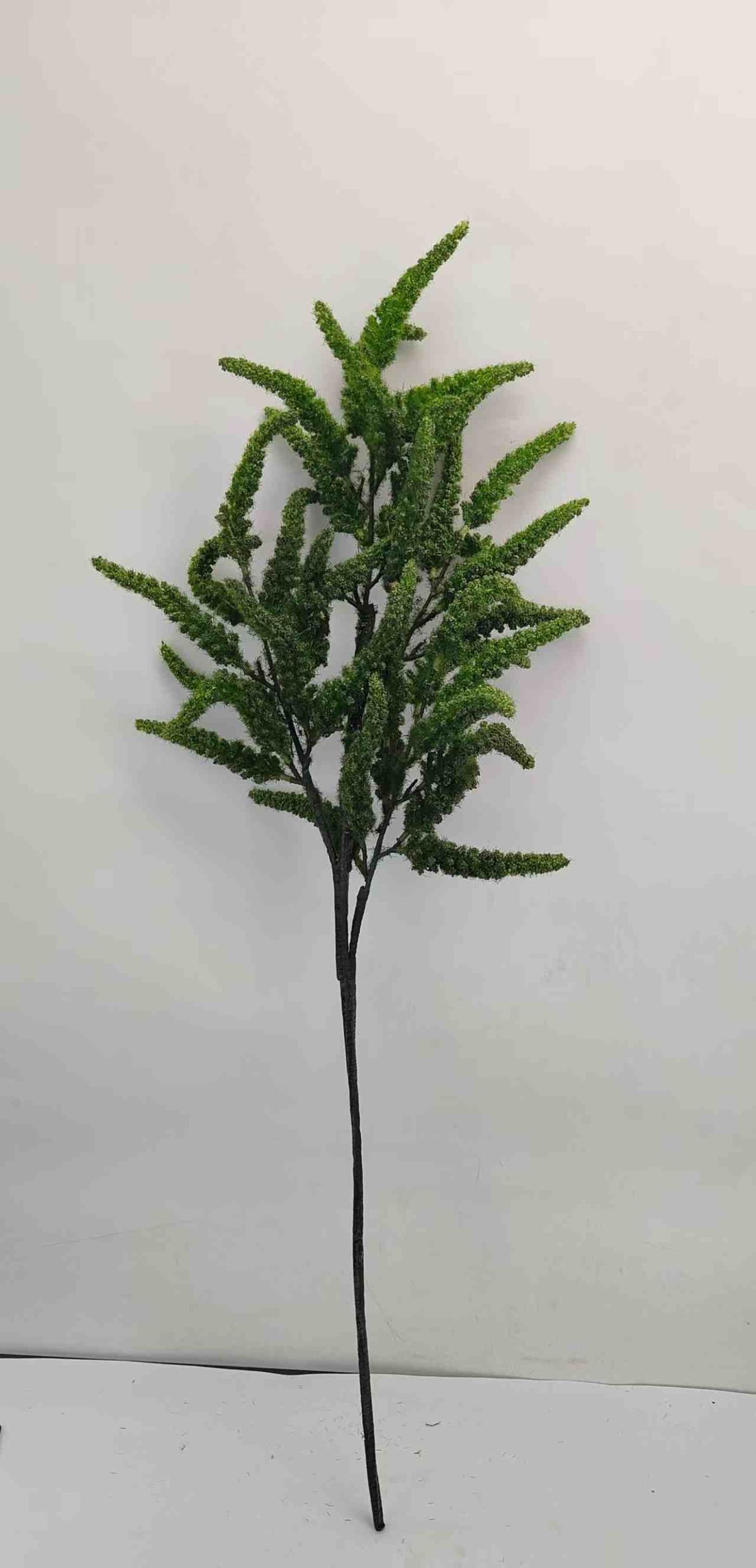 318_F-GREEN-81CM-2.jpg ROYAL MIX FIR F-PE 7 – תמונה 1
